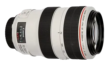 объектив Canon EF 70-300mm f/4-5.6L IS USM